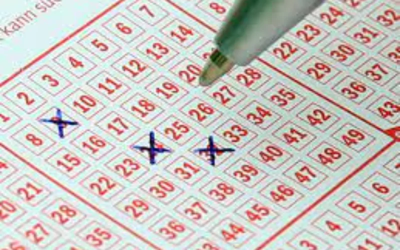 dear lottery sambad at Goa Games